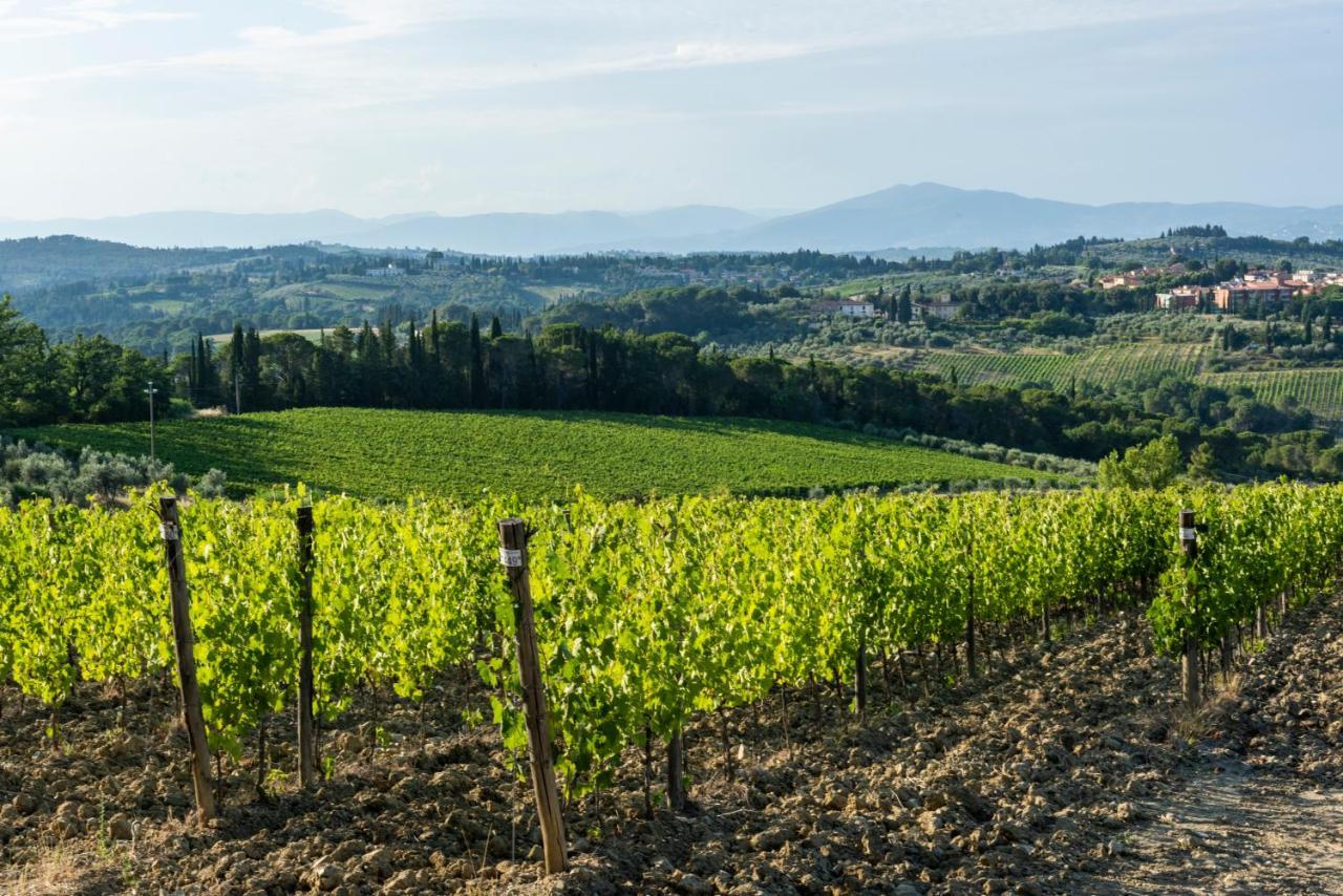 Tenuta Poggio Ai Mandorli