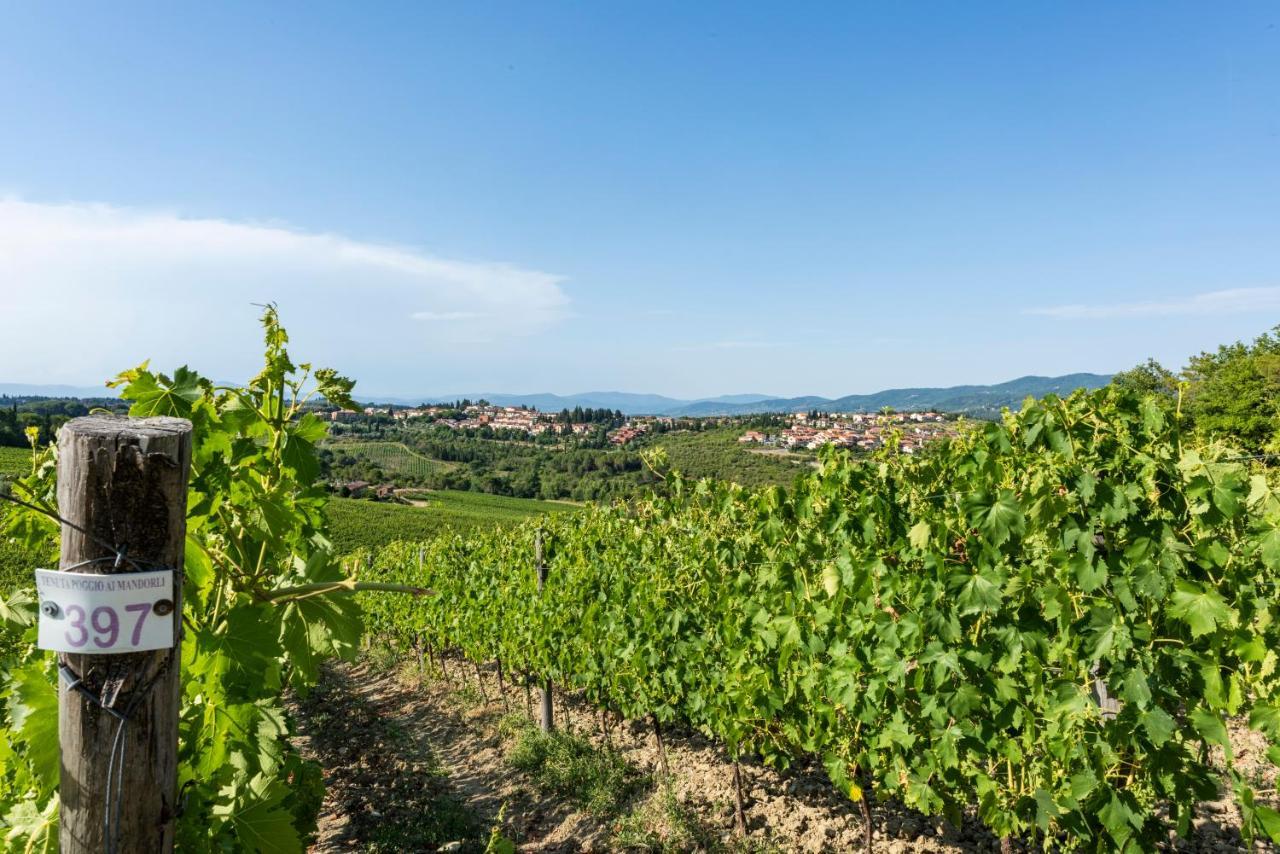 Tenuta Poggio Ai Mandorli Greve in Chianti