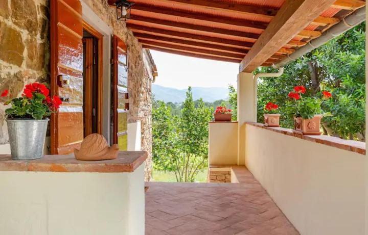 Tenuta Poggio Ai Mandorli Greve in Chianti